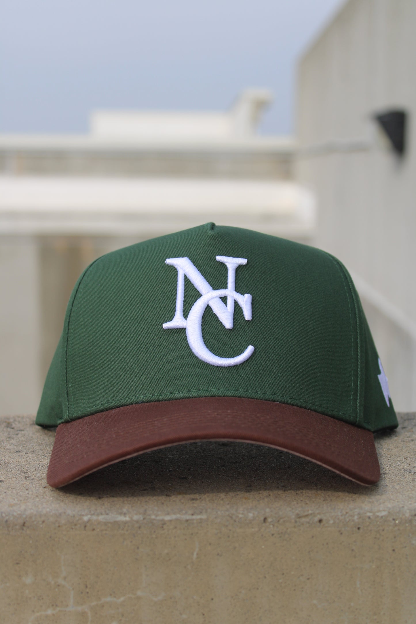 The Pine Snapback