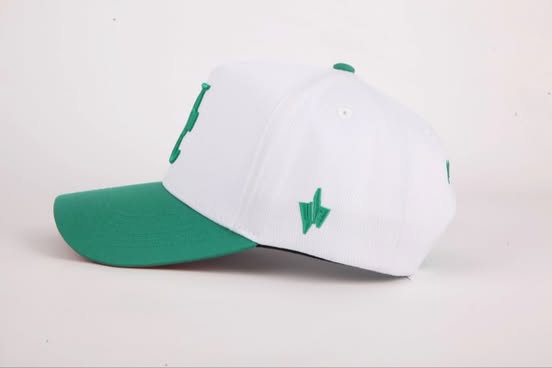 The Evergreen Snapback