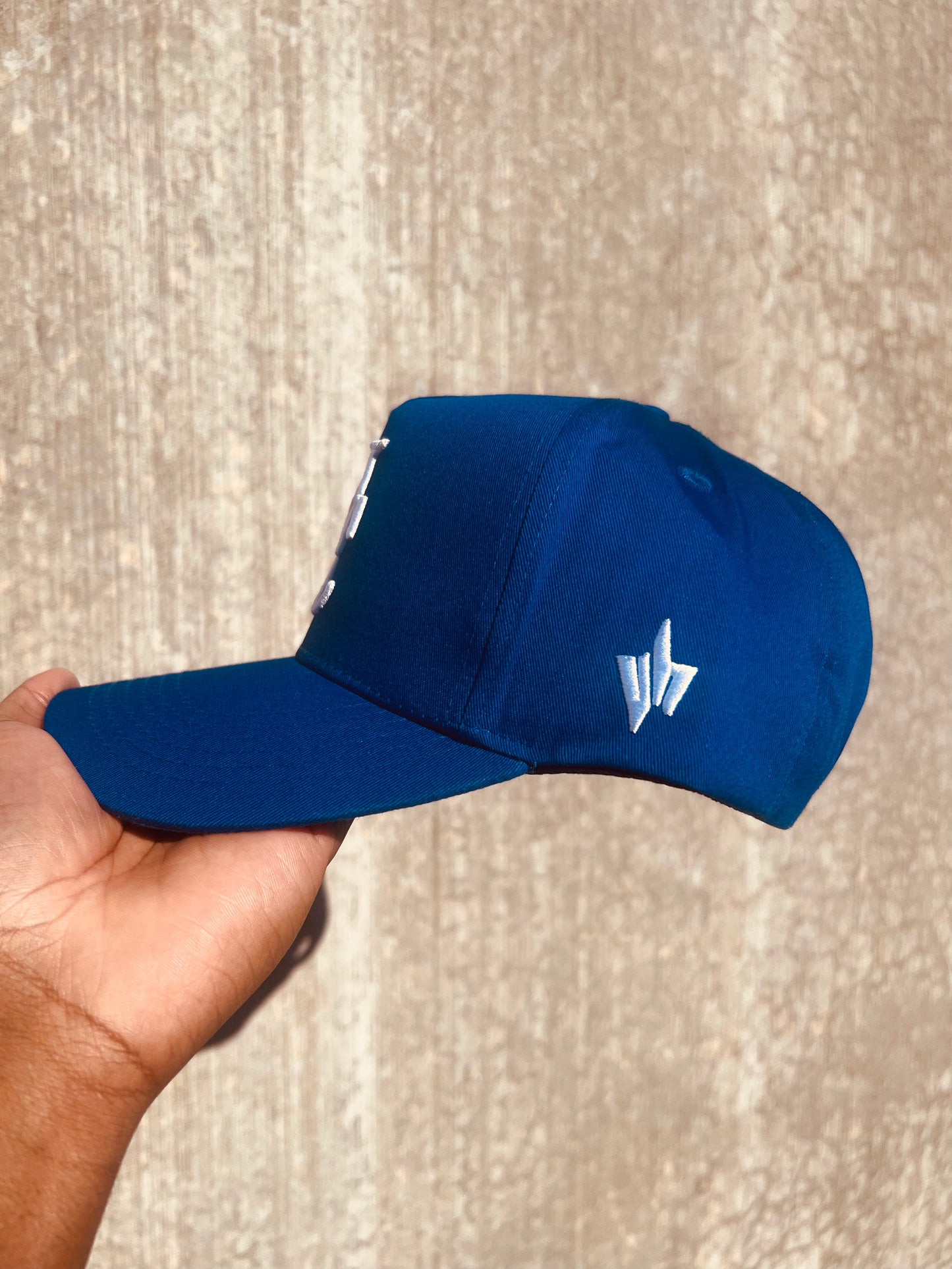 The Biltmore Snapback